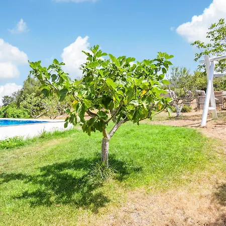 Cozy In With Outdoor Swimming Pool Orgosolo