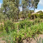 Lovely In * אורגוסולו