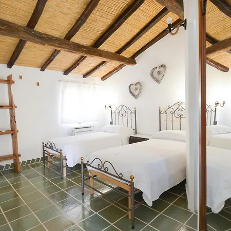 In With Wifi Оргозоло