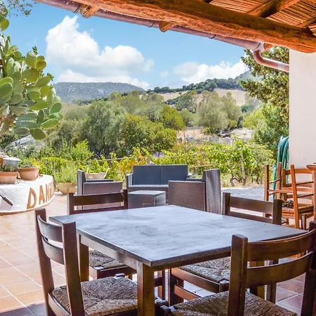 In With Wifi Оргозоло