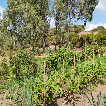 In With Wifi * Оргозоло